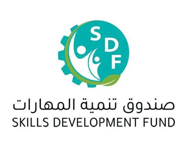 صندوق تنمية المهارات